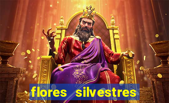 flores silvestres desbravadores desbravadores 25